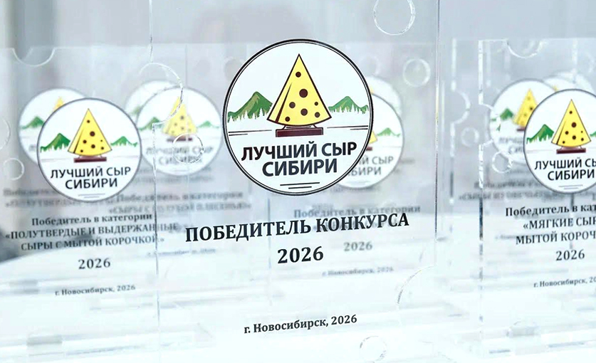 ЛУЧШИЙ СЫР СИБИРИ